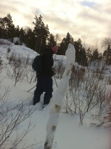 Skida som isskulptur