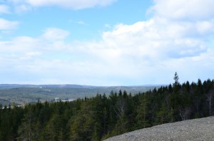 DSC_1981