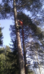 climb_1