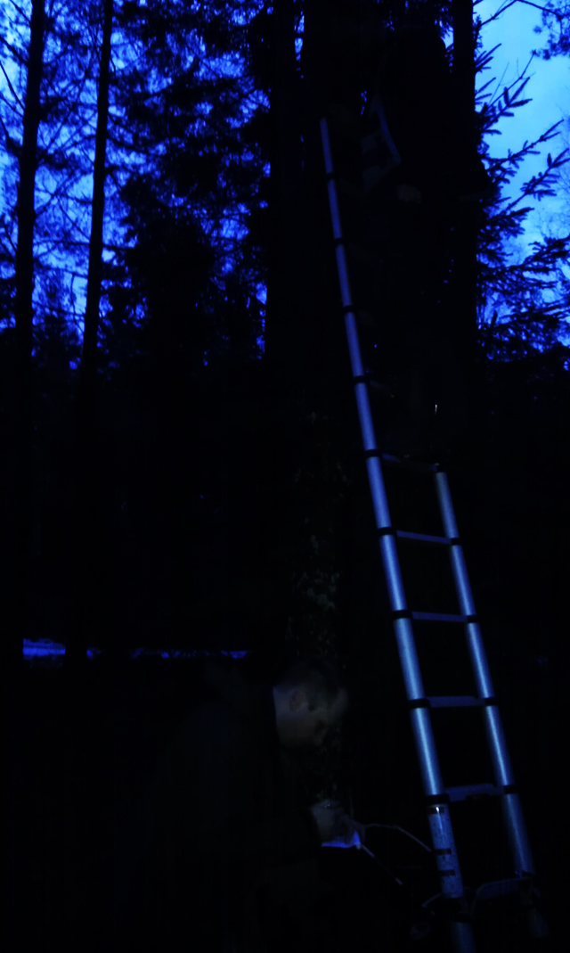 wellner_dt_log