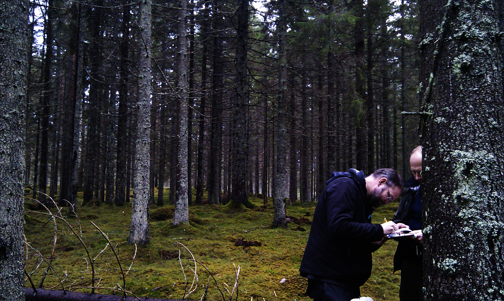 wellner_dt_log_2